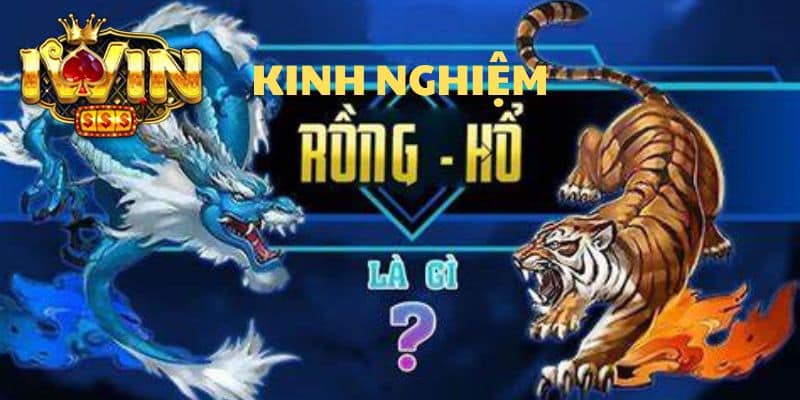 Kinh nghiệm chơi rồng hồ chi tiết cho người mới