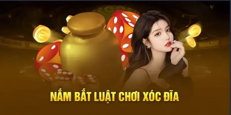 Đánh giá các loại cược trong Xóc Đĩa